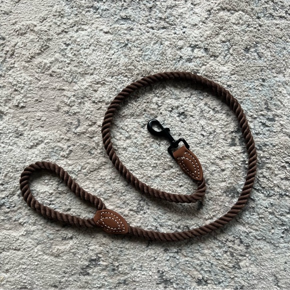 Leather & Rope Dog Collar with Flowers and Leash - Wedding Engagement Photoshoot - Picture 5 of 6